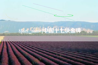 银川中国十七块金牌