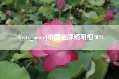银川中国金牌榜明细2021