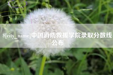银川中国消防救援学院录取分数线公布