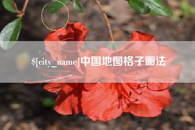 银川中国地图格子画法