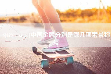 银川中国金牌分别是哪几项荣誉称号