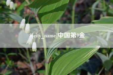 银川中国第9金