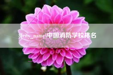 银川中国消防学校排名