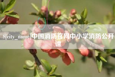 银川中国消防官网中小学消防公开课