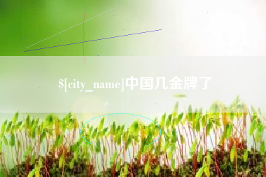 银川中国几金牌了