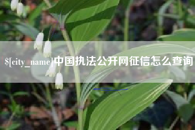 银川中国执法公开网征信怎么查询
