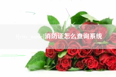 银川消防证怎么查询系统