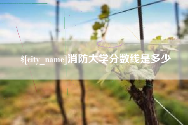 银川消防大学分数线是多少