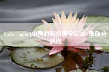 银川中国消防救援学院2019录取分数线