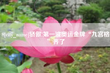 银川骄傲!第一波奥运金牌“九宫格”齐了