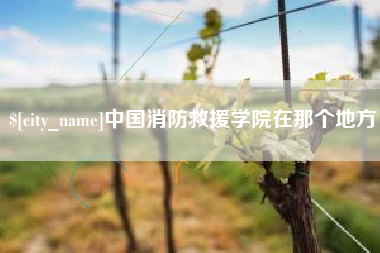银川中国消防救援学院在那个地方