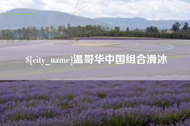银川温哥华中国组合滑冰