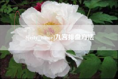 银川九宫排盘方法