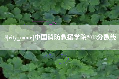银川中国消防救援学院2018分数线
