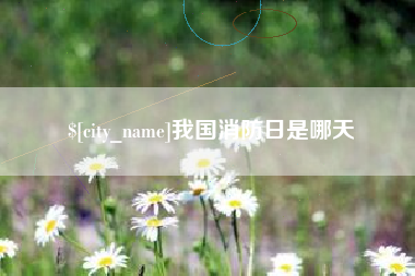 银川我国消防日是哪天