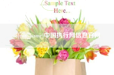 银川中国执行网信息官网