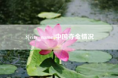 银川中国夺金情况