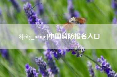 银川中国消防报名入口