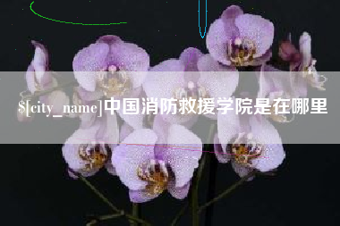 银川中国消防救援学院是在哪里