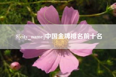 银川中国金牌排名前十名