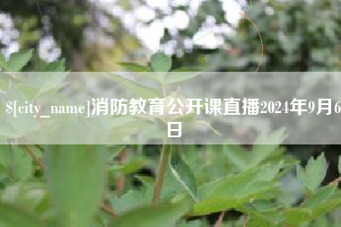 银川消防教育公开课直播2024年9月6日