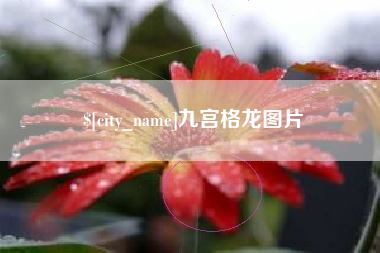 银川九宫格龙图片