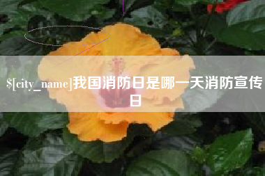 银川我国消防日是哪一天消防宣传日