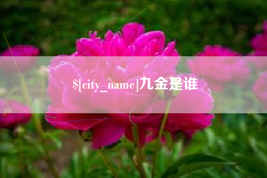 银川九金是谁
