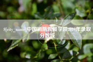 银川中国消防救援学院2019年录取分数线