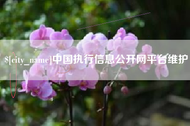 银川中国执行信息公开网平台维护
