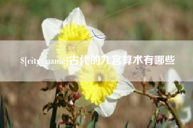 银川古代的九宫算术有哪些