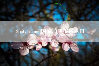 银川国家消防报名入口