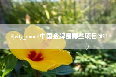银川中国金牌是哪些项目2021