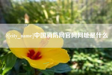 银川中国消防网官网网址是什么