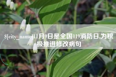 银川11月9日是全国119消防日,为积极推进修改病句