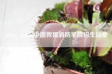 银川中国救援消防学院招生简章