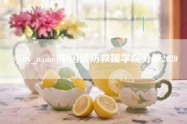银川中国消防救援学院分数2020