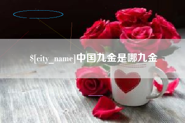 银川中国九金是哪九金