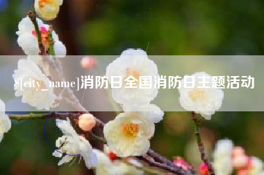 银川消防日全国消防日主题活动
