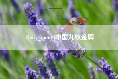 银川中国九枚金牌