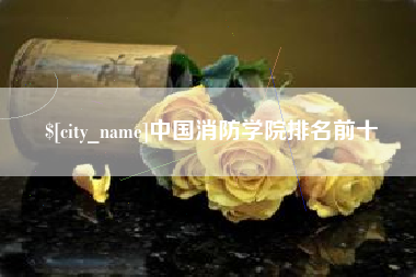 银川中国消防学院排名前十