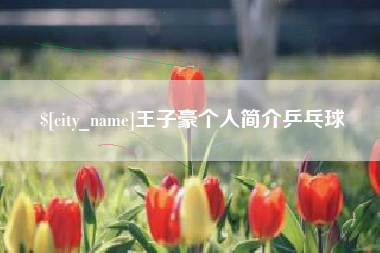 银川王子豪个人简介乒乓球