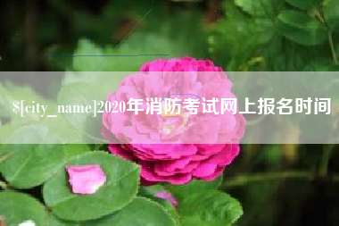 银川2020年消防考试网上报名时间