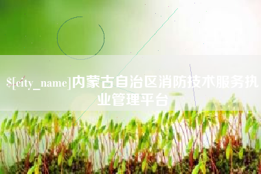 银川内蒙古自治区消防技术服务执业管理平台