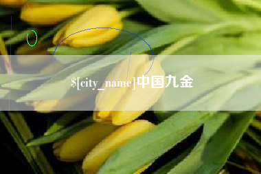银川中国九金