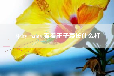 银川看看王子豪长什么样