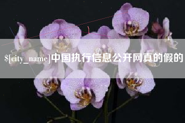 银川中国执行信息公开网真的假的