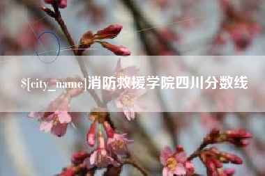 银川消防救援学院四川分数线