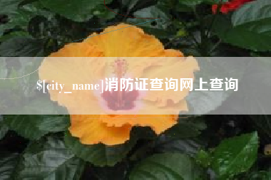 银川消防证查询网上查询