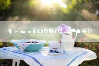 银川消防资格证怎么查询系统